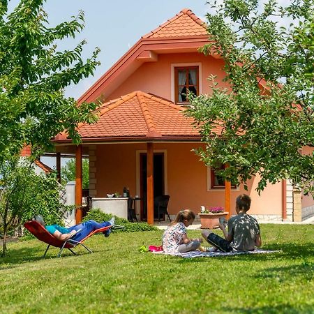 Planinca -Hisa Z Razgledom Apartamento Smarje pri Jelsah Exterior foto