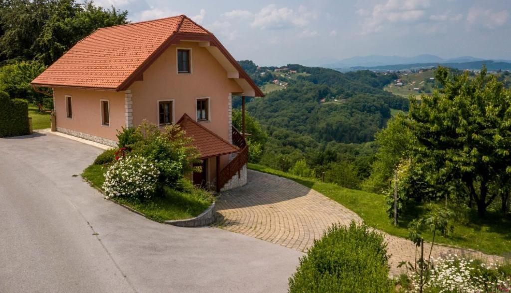Planinca -Hisa Z Razgledom Apartamento Smarje pri Jelsah Exterior foto