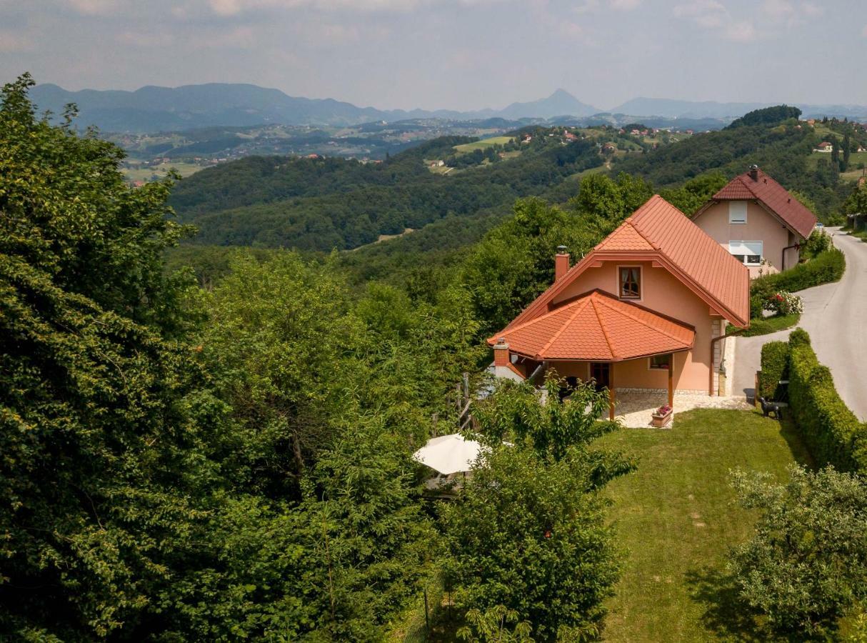Planinca -Hisa Z Razgledom Apartamento Smarje pri Jelsah Exterior foto