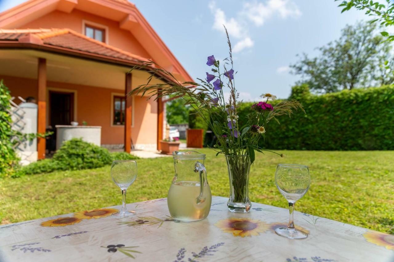 Planinca -Hisa Z Razgledom Apartamento Smarje pri Jelsah Exterior foto