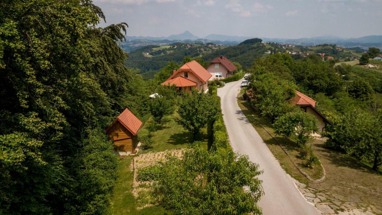 Planinca -Hisa Z Razgledom Apartamento Smarje pri Jelsah Exterior foto
